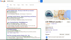 Google Ads in SERPs